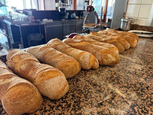 Frisch gebackene Baguettes liegen auf einer Theke.
